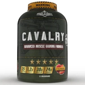 Advance Weight Gainer